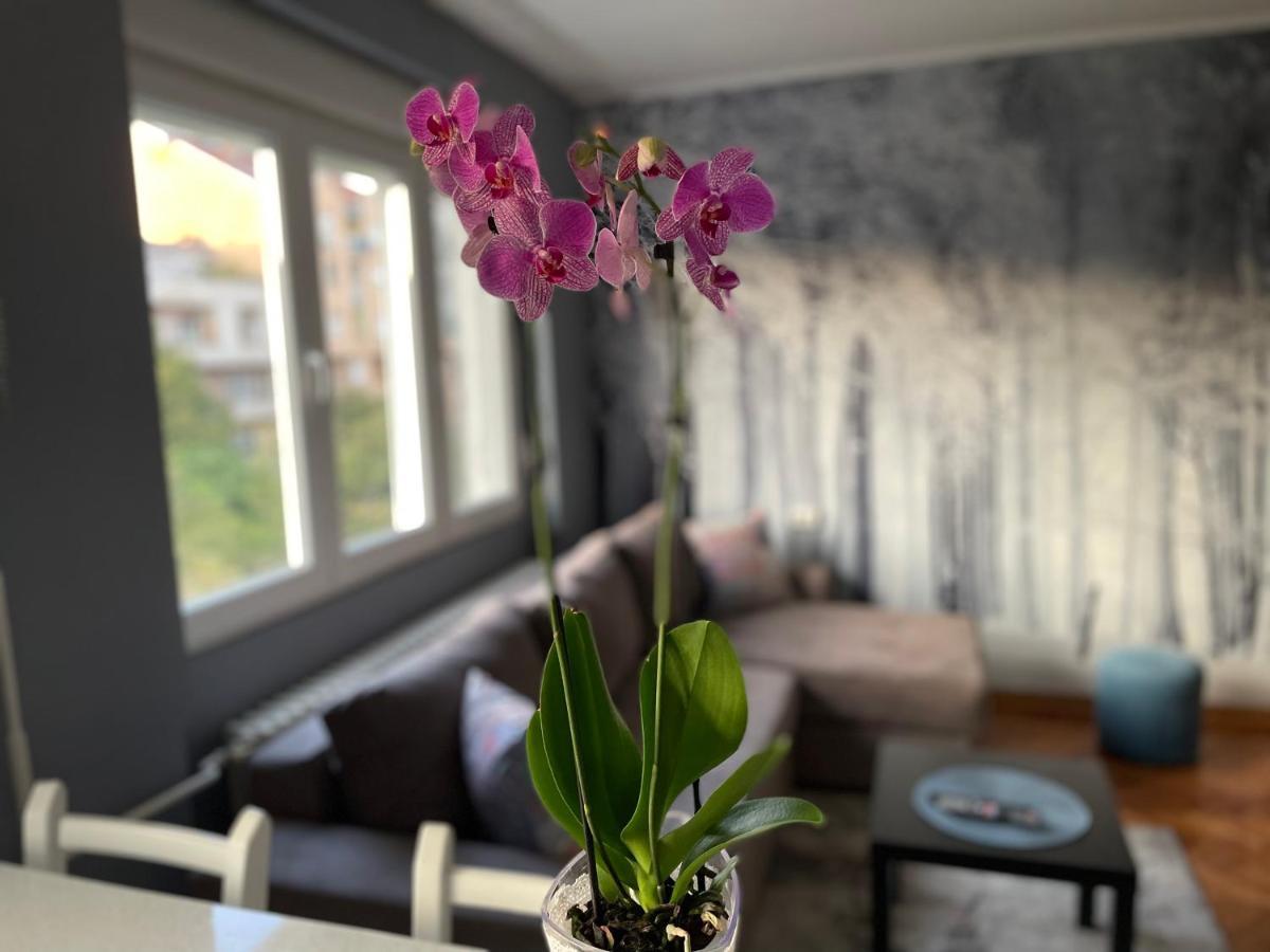 Apartman Avenia Nowy Sad Zewnętrze zdjęcie
