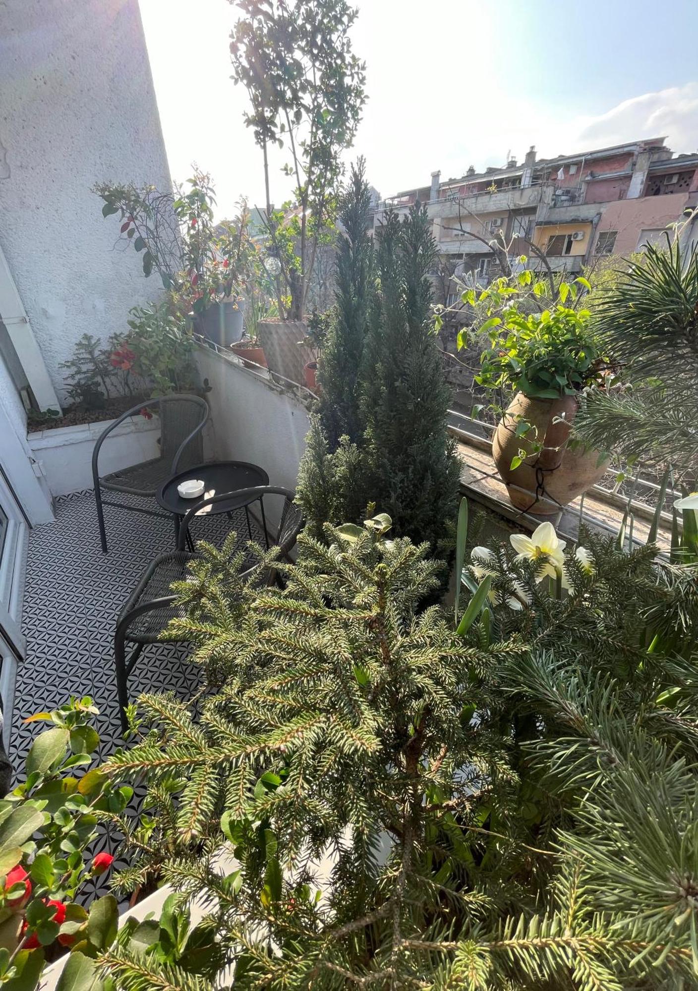 Apartman Avenia Nowy Sad Zewnętrze zdjęcie